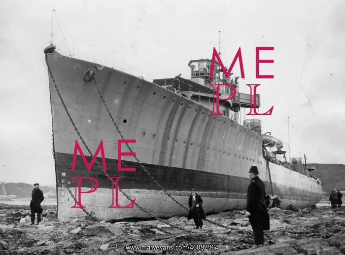 : The British destroyer H. M. S. Walrus : The British destroyer H. M. S. Walrus
