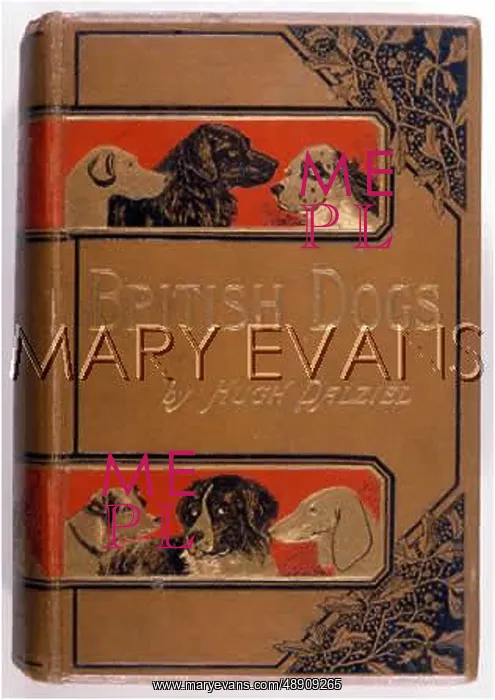  : BRITISH DOGS