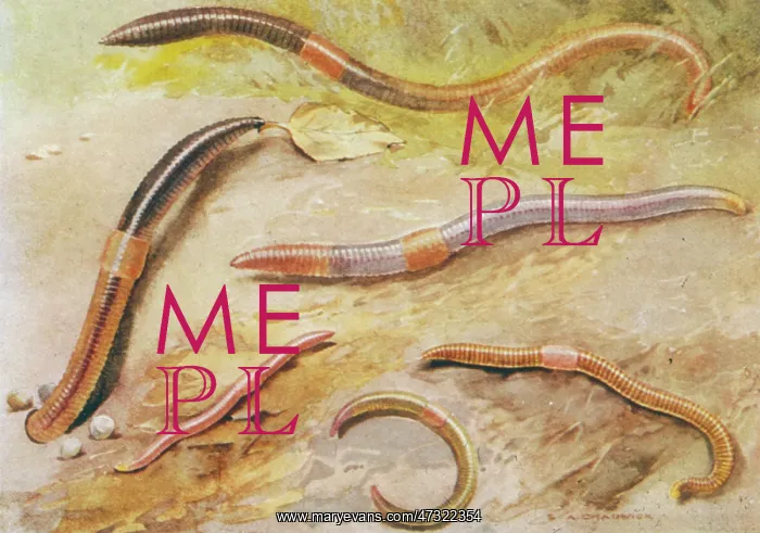 : BRITISH EARTHWORMS 20C : BRITISH EARTHWORMS 20C