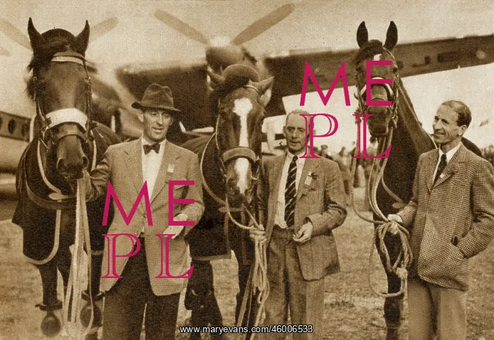 : British equestrian team medal winners : British equestrian team medal winners