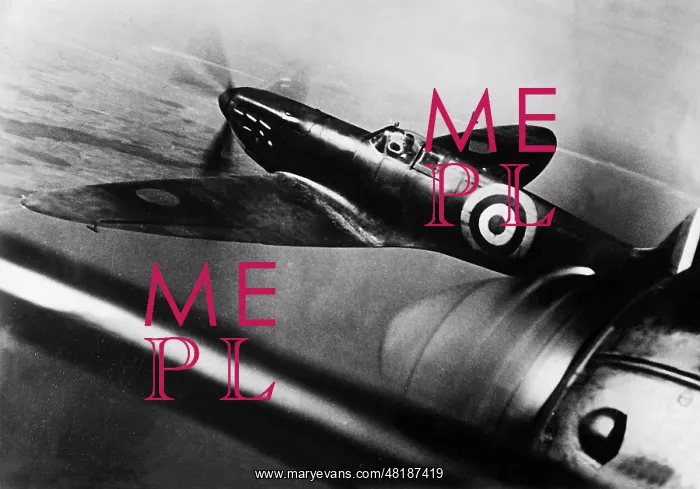: British Fighter Plane, Seen from a German Bomber, 1940 : British Fighter Plane, Seen from a German Bomber, 1940