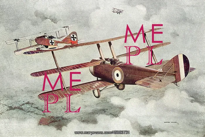 : British fighting triplane in action : British fighting triplane in action