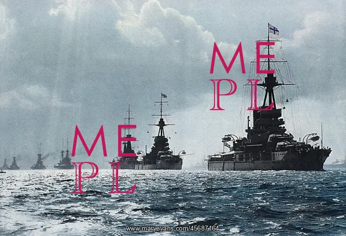 : The British fleet at Spithead : The British fleet at Spithead