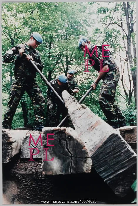 : British Forces in Bosnia : British Forces in Bosnia