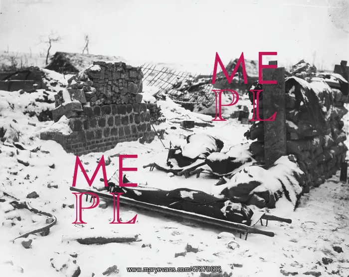  : British Front in France in 1917