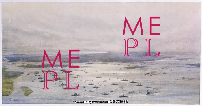 : BRITISH GRAND FLEET : BRITISH GRAND FLEET