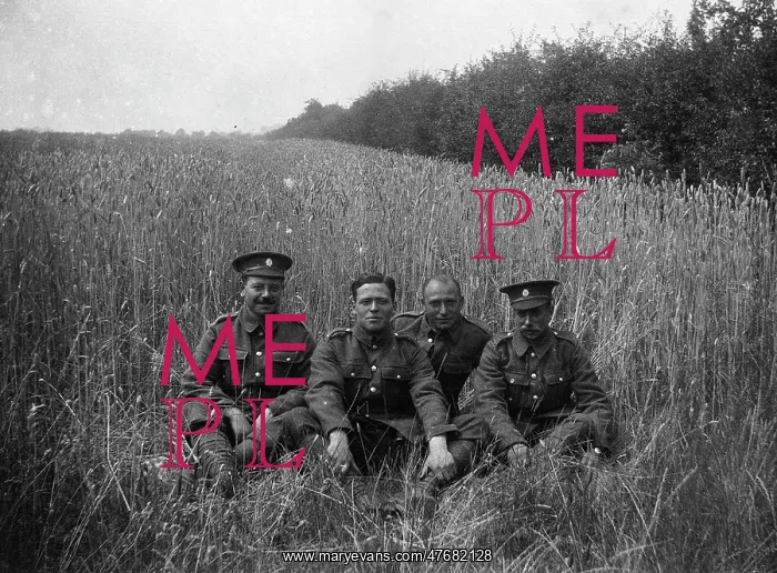 : Four British Infantrymen relax in a cornfield : Four British Infantrymen relax in a cornfield