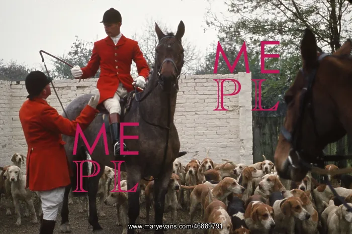 : The British at Leisure series -- foxhunting event : The British at Leisure series -- foxhunting event