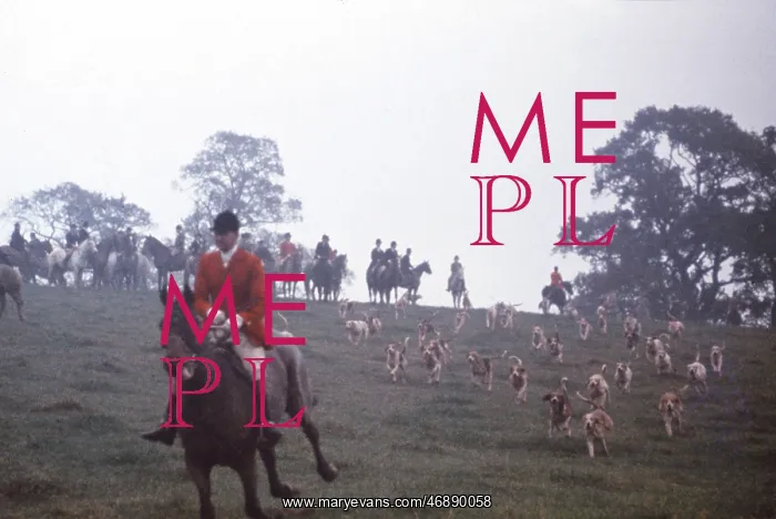 : The British at Leisure series -- foxhunting event : The British at Leisure series -- foxhunting event