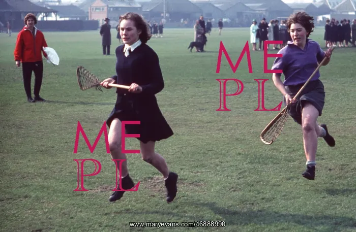 : The British at Leisure series -- lacrosse match in progress : The British at Leisure series -- lacrosse match in progress