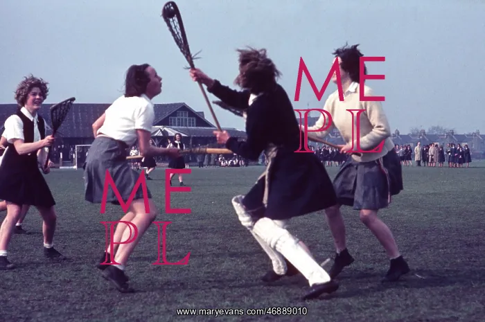 : The British at Leisure series -- lacrosse match in progress : The British at Leisure series -- lacrosse match in progress