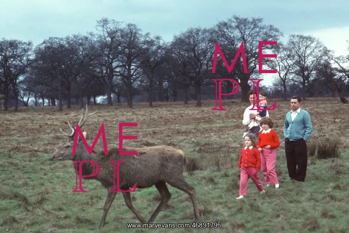  : The British at Leisure series -- people and deer