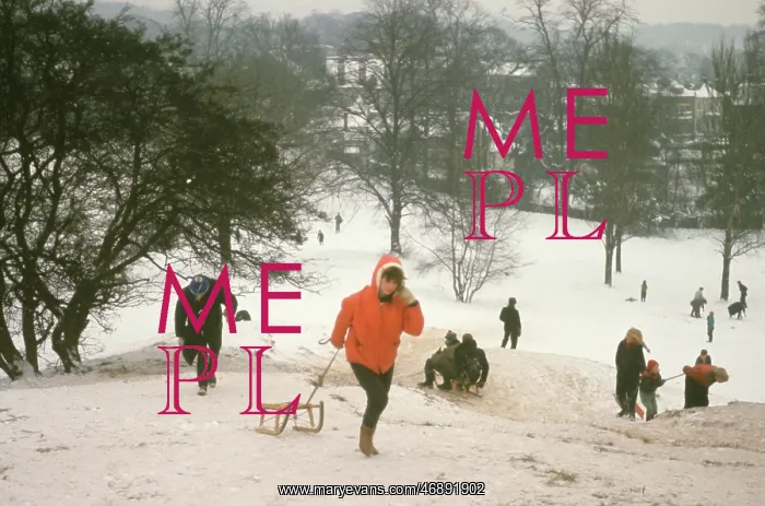 : The British at Leisure series -- people sledding : The British at Leisure series -- people sledding