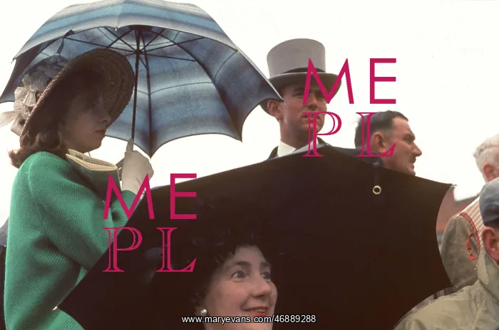 : The British at Leisure series -- posh racegoers : The British at Leisure series -- posh racegoers