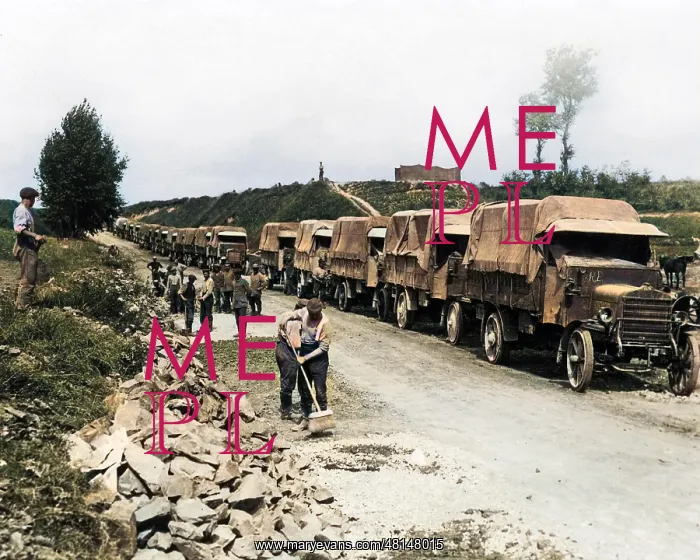 : British lorries on a road, Western Front, WW1 : British lorries on a road, Western Front, WW1