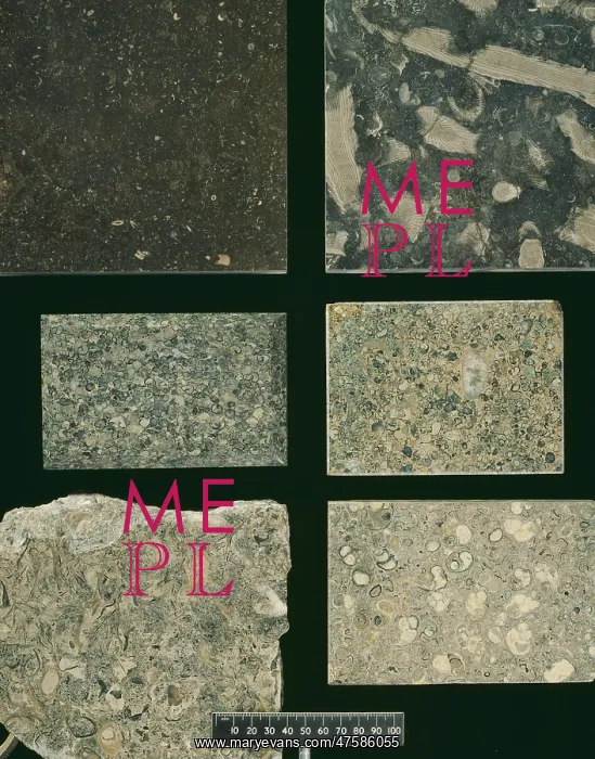 : British marble specimens : British marble specimens