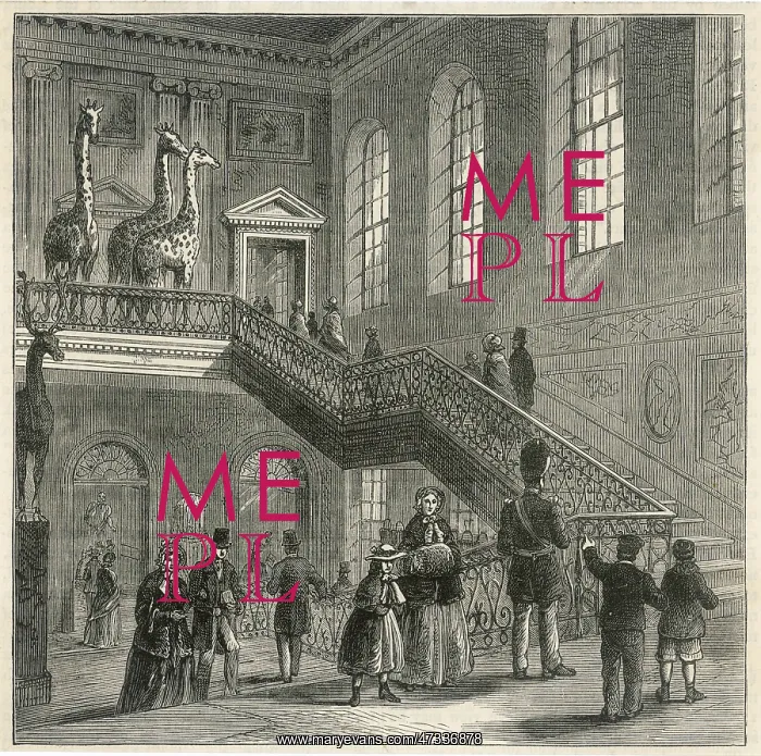 : British Museum at Montagu House : British Museum at Montagu House