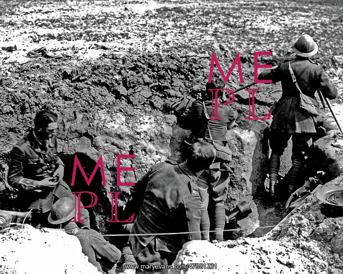 : British officers observing, Western Front, WW1 : British officers observing, Western Front, WW1