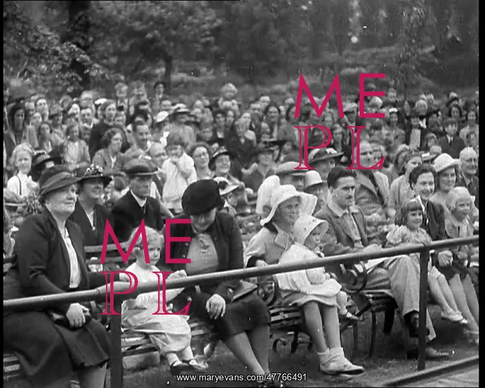 : British People Watching Chimpanzees Having : British People Watching Chimpanzees Having