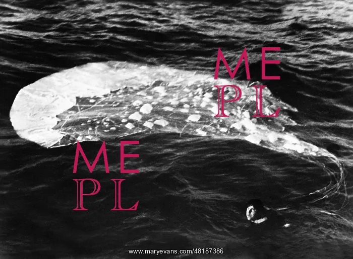: British pilot in water, 1944 : British pilot in water, 1944