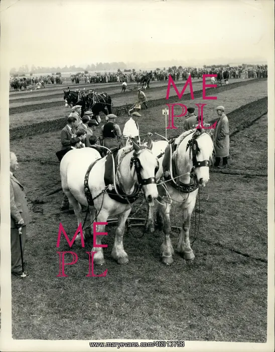: British Ploughing Championship, Shillingford, Oxfordshire : British Ploughing Championship, Shillingford, Oxfordshire