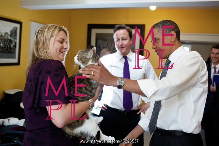 : British Prime Minister David Cameron introduces ? : British Prime Minister David Cameron introduces ?