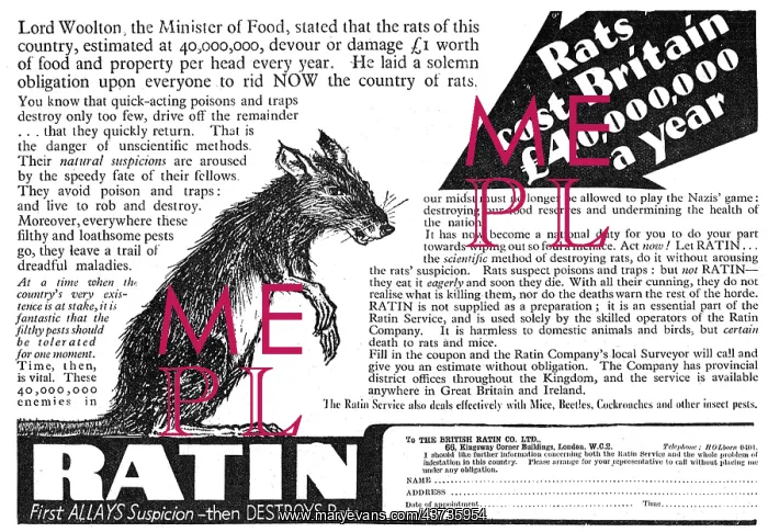 : British Ratin Rodent Control : British Ratin Rodent Control