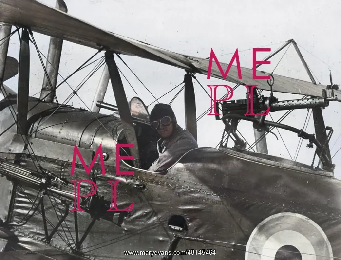 : British RE8 biplane and pilot, WW1 : British RE8 biplane and pilot, WW1