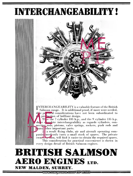  : British Salmson