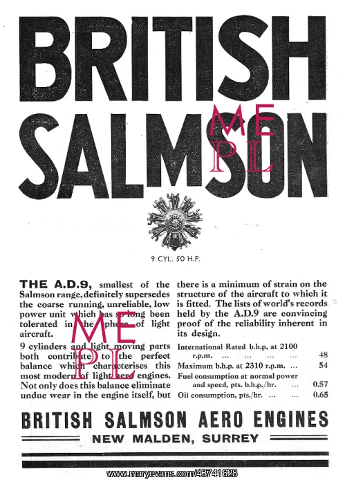 : British Salmson AD9 Aero Engine : British Salmson AD9 Aero Engine