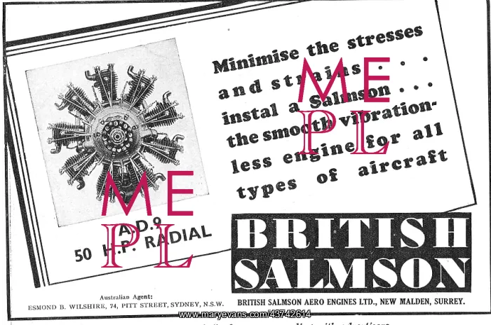 : British Salmson AD9 Aero Engine : British Salmson AD9 Aero Engine