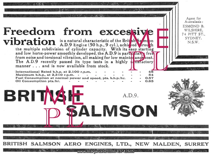 : British Salmson AD9 Aero Engine - Freedom From Vibration : British Salmson AD9 Aero Engine - Freedom From Vibration