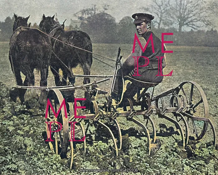 : British soldier working on the land, WW1 : British soldier working on the land, WW1