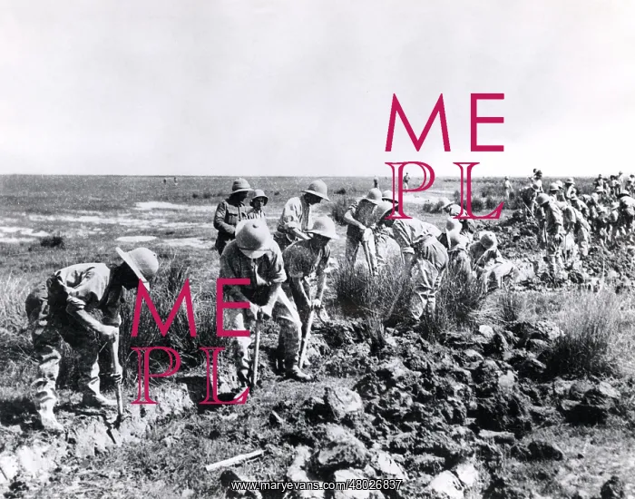: British troops draining marshes, Salonika Front, WW1 : British troops draining marshes, Salonika Front, WW1