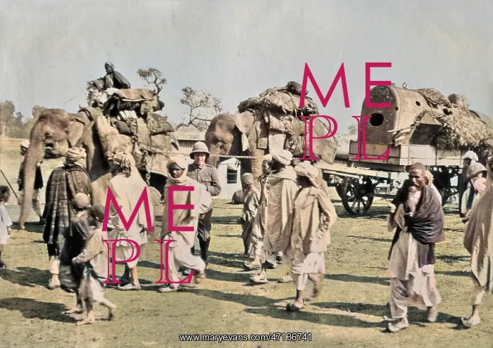 : British troops with elephants, India : British troops with elephants, India