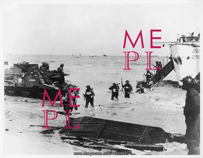 : BRITISH TROOPS LAND : BRITISH TROOPS LAND
