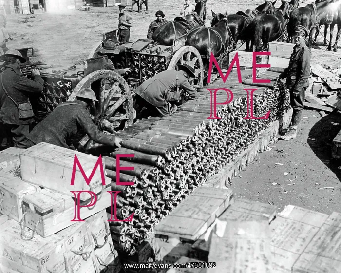 : British troops loading up ammunition, Western Front, WW1 : British troops loading up ammunition, Western Front, WW1