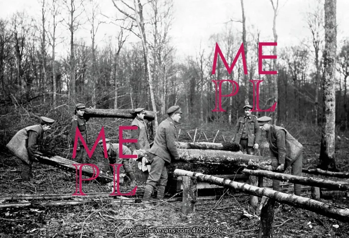 : British troops transferring logs, Western Front, WW1 : British troops transferring logs, Western Front, WW1