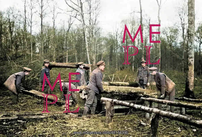 : British troops transferring logs, Western Front, WW1 : British troops transferring logs, Western Front, WW1