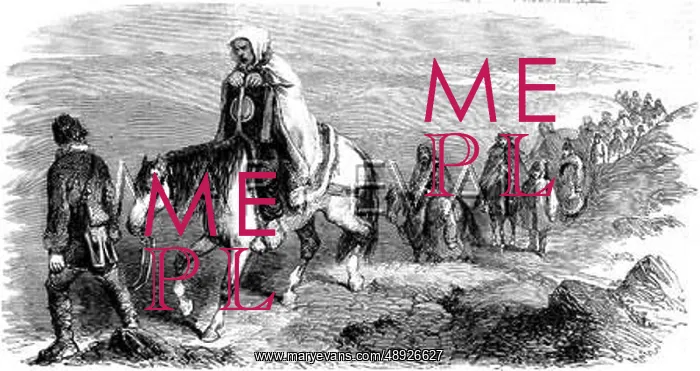 : British Wounded being carried to Balaklava, Crimean War 1855 : British Wounded being carried to Balaklava, Crimean War 1855