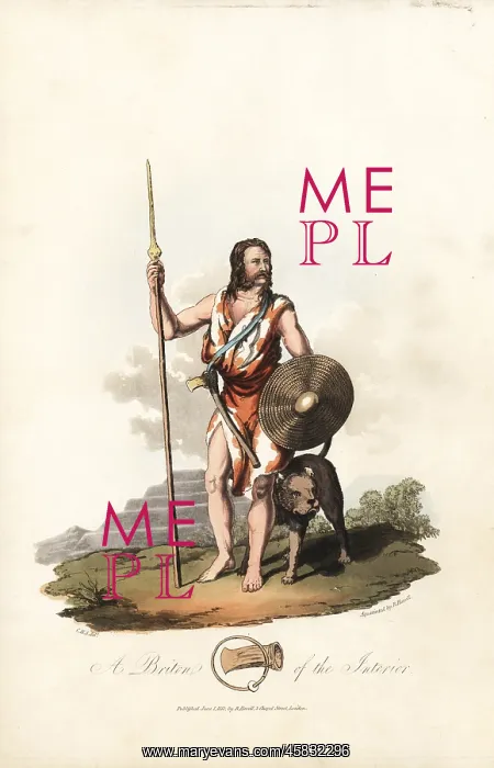 : A Briton from the pre-Roman era : A Briton from the pre-Roman era