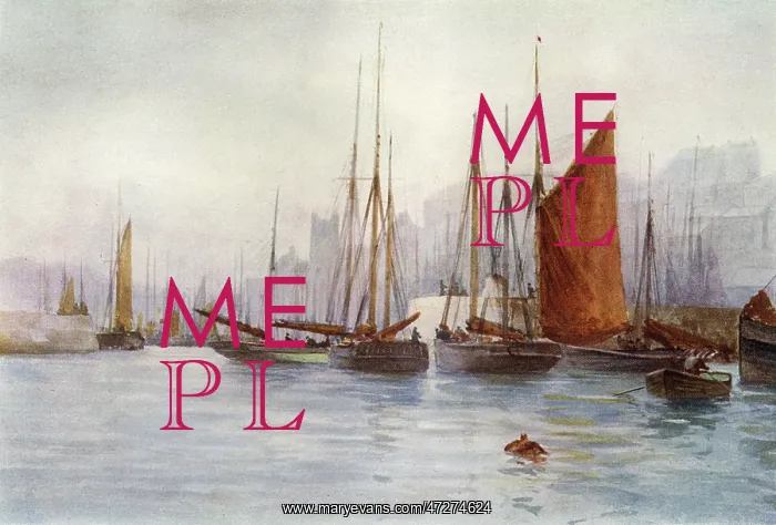 : BRIXHAM / DEVON / 1908 : BRIXHAM / DEVON / 1908