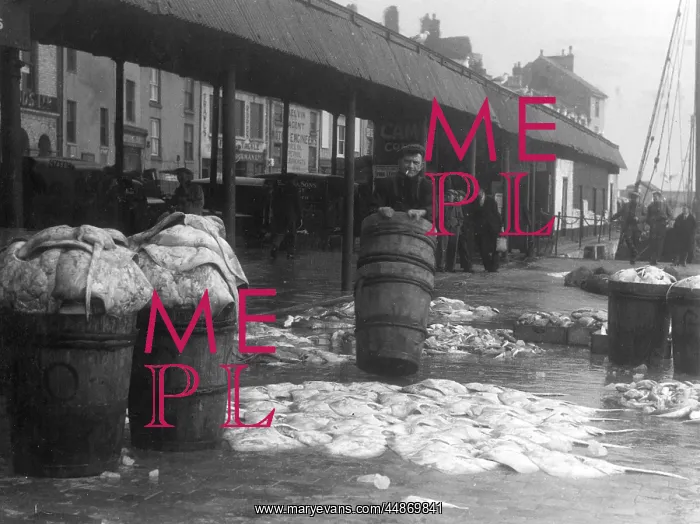 : BRIXHAM FISH MARKET : BRIXHAM FISH MARKET