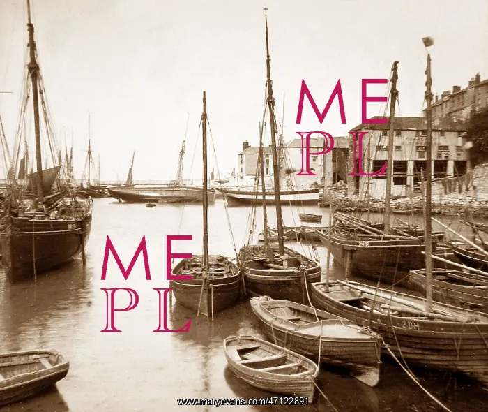  : Brixham harbour