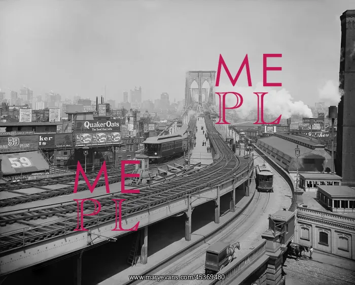 : Broad view of Brooklyn Terminal, of Brooklyn : Broad view of Brooklyn Terminal, of Brooklyn