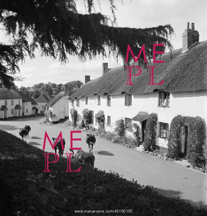 : Broadhembury, East Devon : Broadhembury, East Devon
