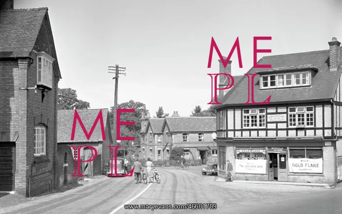  : Brockenhurst, the Village 1949