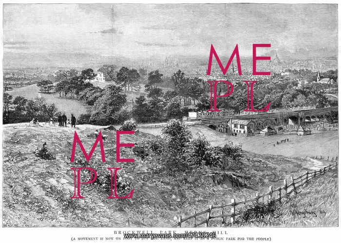 : BROCKWELL PARK : BROCKWELL PARK