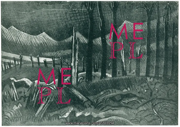  : Broken Trees, Wytschaete