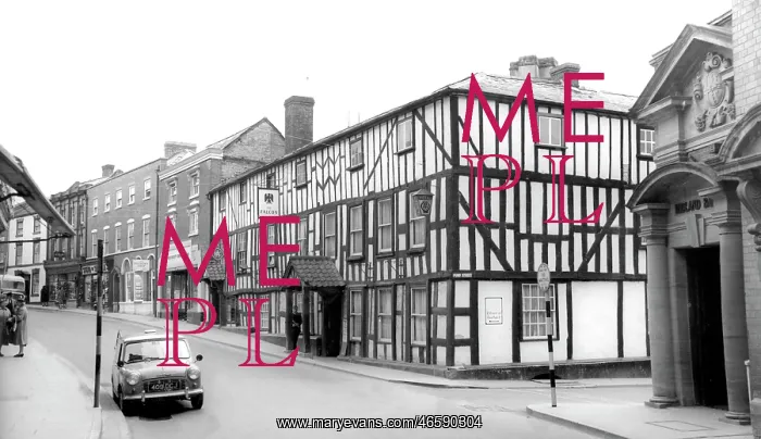  : Bromyard, the Falcon c1965